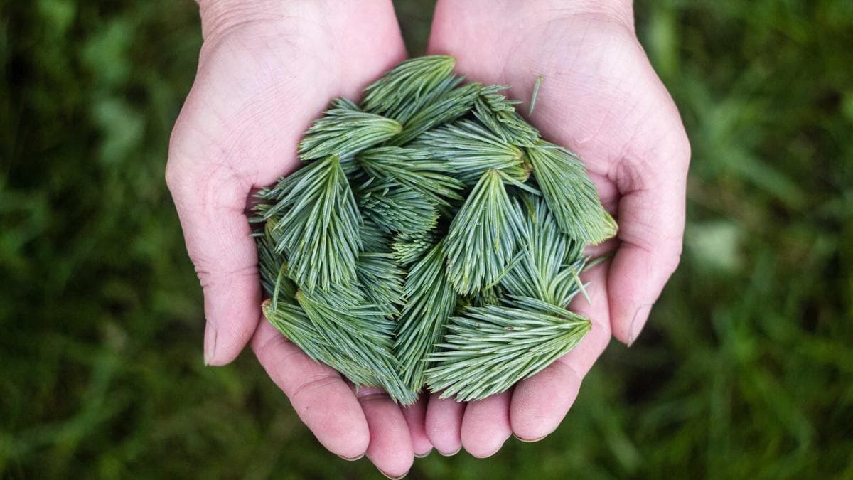 முக்கிய தமிழ் கோயில்கள் வரலாறு